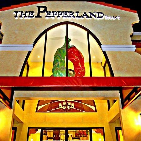 The Pepperland Hotel Legazpi Buitenkant foto